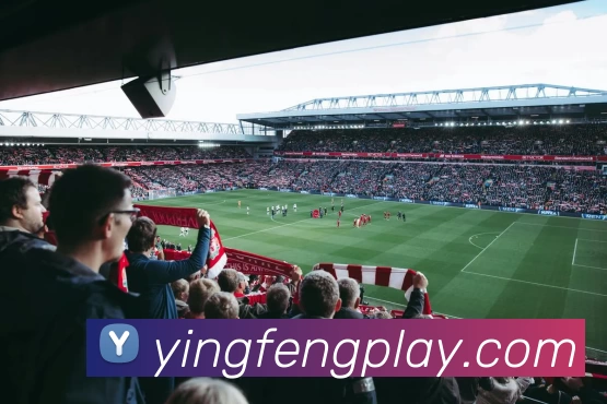 多媒体互动体验