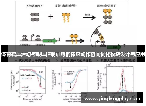 体育减压运动与眼压控制训练的体态动作协同优化模块设计与应用
