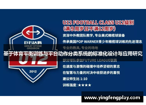 基于体育平衡训练与平台动作分类系统的标准化设计与应用研究